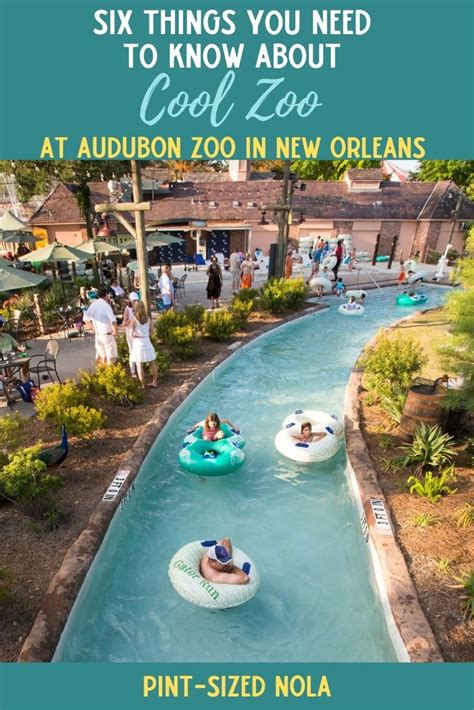 Everything you need to know about visiting Cool Zoo at Audubon Zoo in ...