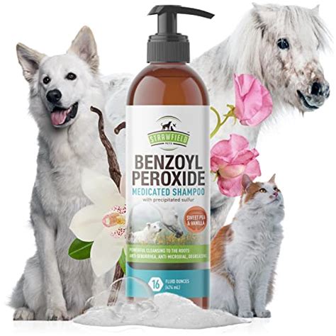 10 Best Ringworm Shampoos For Dogs Rated & Reviewed