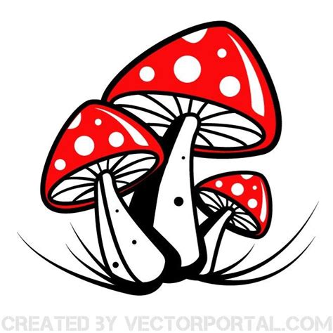 Poisonous mushroom graphics Royalty Free Stock SVG Vector