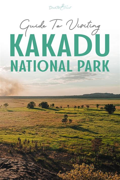 Guide to visiting kakadu national park – Artofit