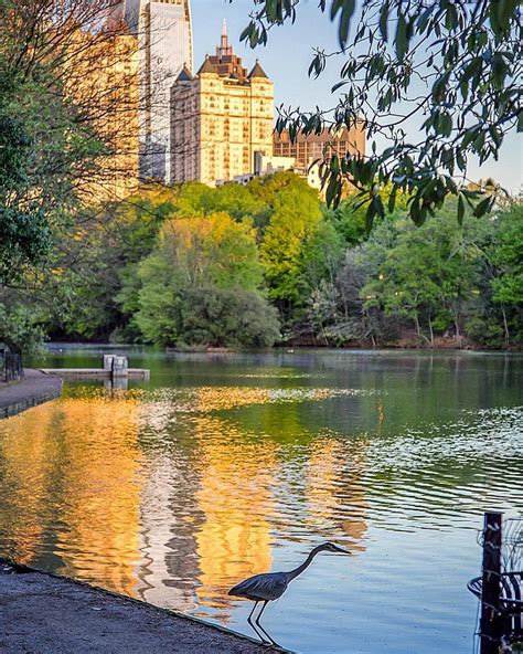 Morning reflections at Piedmont Park, a gorgeous shot by @whyiloveatl ...