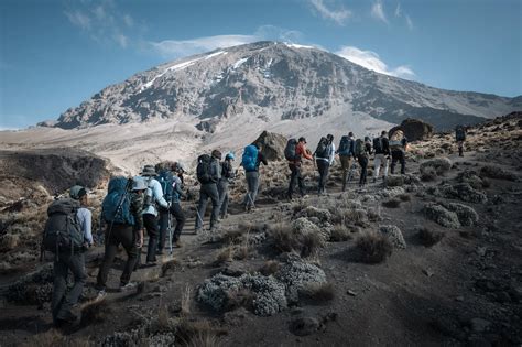 Kilimanjaro Join Group Departures - Snow Africa Adventure