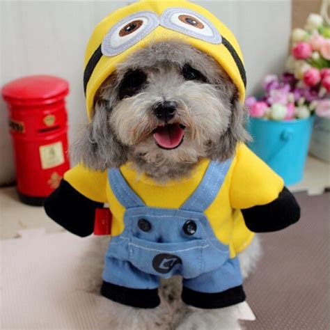 42 Halloween Dog Costume Ideas - InspirationSeek.com