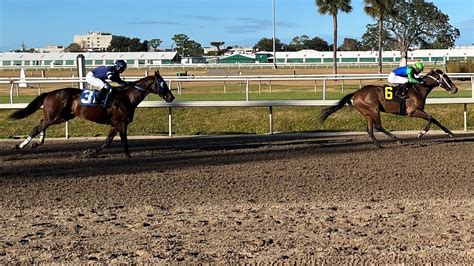 The Role Of Jockeys In Horse Racing