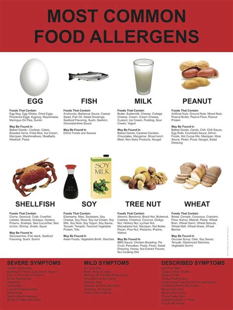 Just launched - Our Most Common Food Allergen Poster. Designed for ...