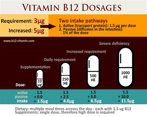 Recommended Dosage Of Vitamin B12 For Adults