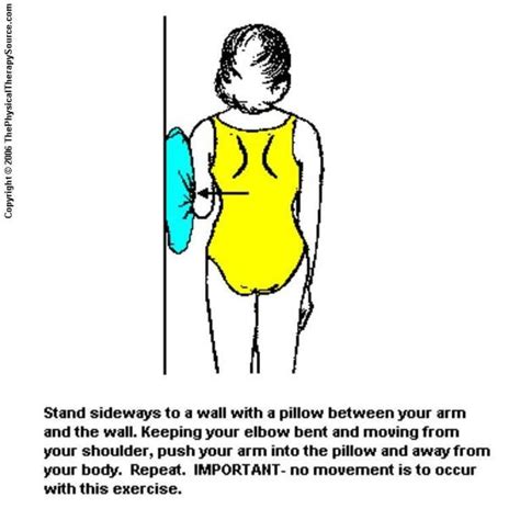 Shoulder Exercises from ThePhysicalTherapySource.com: Shoulder ...