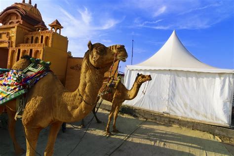 Rann Utsav 2019 -20 | A Glimpse of Gujarat's Tradition