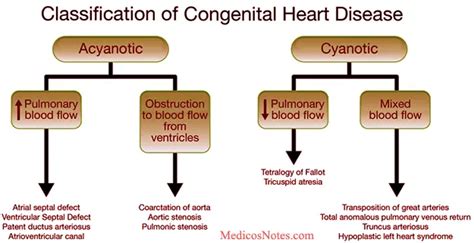 Hereditary Heart Disease Causes, Types, and Treatment