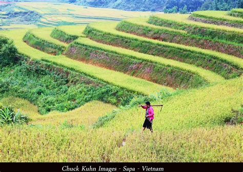 Chuck Kuhn's Vietnam in Photos: Touring Sapa Rice Fields