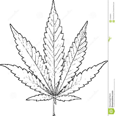 Marijuana Leaf Sketch at PaintingValley.com | Explore collection of ...