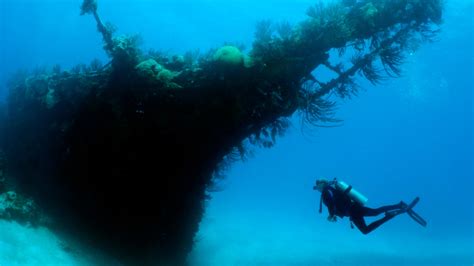 Bermuda Snorkeling Guide: 9 Best Dive Sites in Bermuda | Condé Nast ...