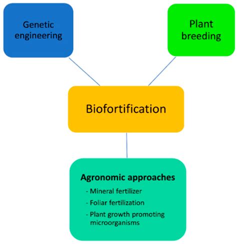 Plants | Free Full-Text | Biofortification of Pulse Crops: Status and ...