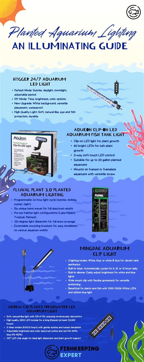 Planted Aquarium Lighting - An Illuminating Guide