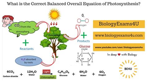 Photosynthesis Formula