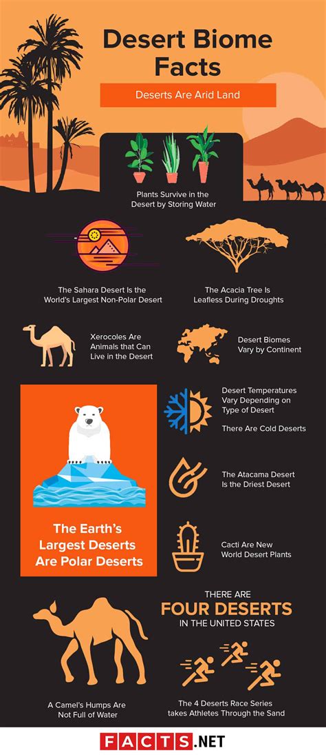 14 Desert Biome Facts - Animals, Plants, Temperature & More | Facts.net