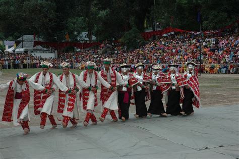 Beautiful tribal dance by Gaddi tribes of Himachal Pradesh | Tribal ...