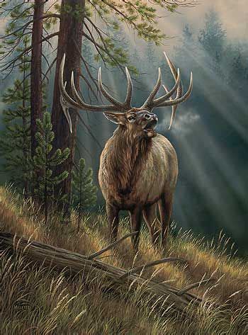 elk painting | Painting | Pinterest