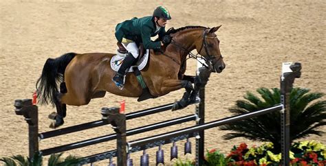 Best Breeds For Jumping, At All Levels – Horse FactBook