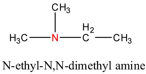 The total number of structural isomers possible for an amine with a ...