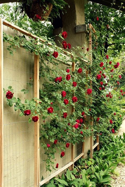 15 Creative And Easy DIY Trellis Ideas For Your Garden