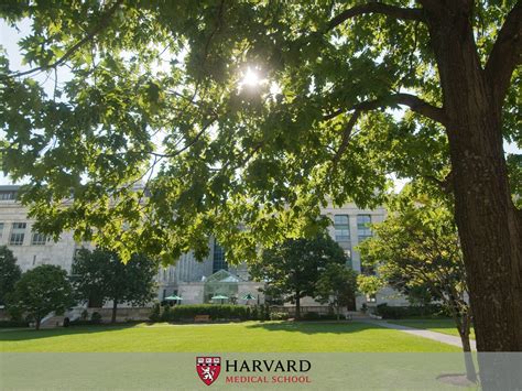 Harvard University Wallpapers - Wallpaper Cave