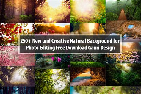 250+ New and Creative Natural Background for Photo Editing Free ...