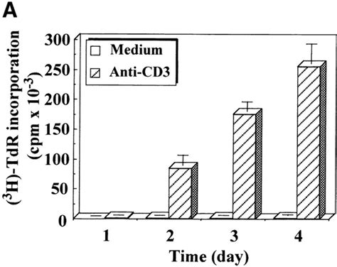 Caspase-3 is cleaved into multiple fragments in stimulated lymphocytes ...