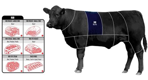 How To Choose The Perfect Cut Of Beef | Beef cuts, Sirloin steaks ...