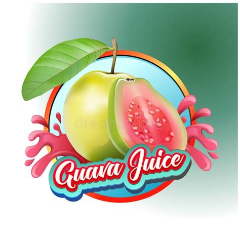 Jambu Fruit Clipart Images