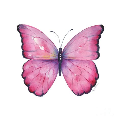 105 Pink Celestina Butterfly Painting by Amy Kirkpatrick - Pixels