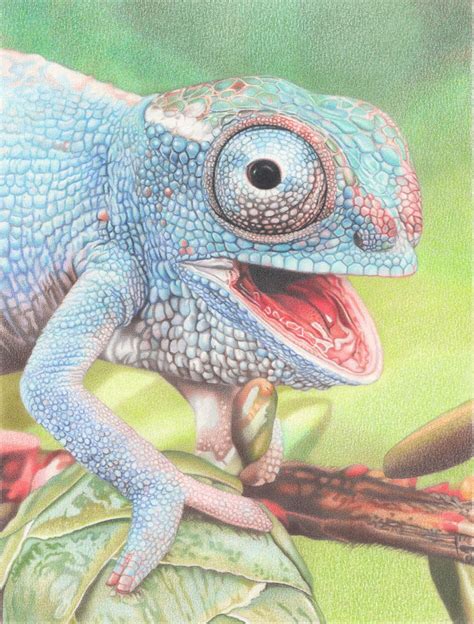 Reptile | Animal sketches, Drawings, Colored pencils