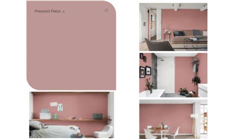 What Colours Go With Dulux Pressed Petal? - Sleek-chic Interiors