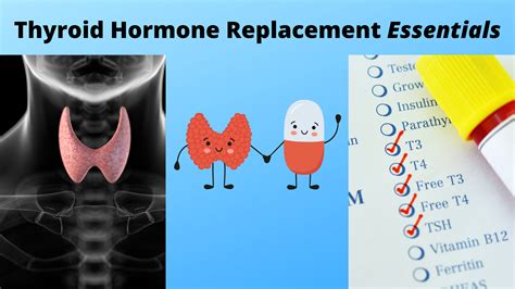 Thryroid Hormone Function: Management Techniques – Scott Resnick, MD