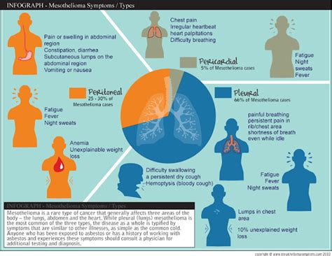 mesothelioma symptoms: Mesotheliom lung cancer symptoms