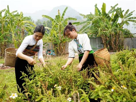 USAID Partners with Communities to Conserve Forests in Vietnam ...