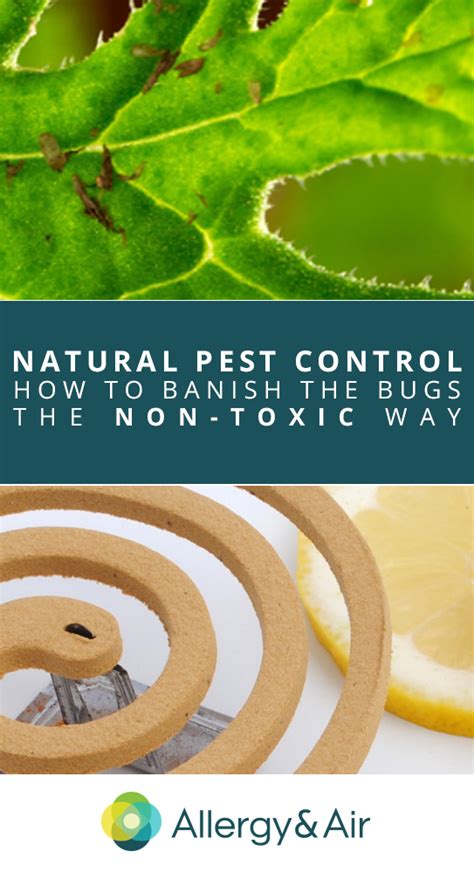 Natural Pest Control: How to Banish the Bugs the Non-Toxic Way