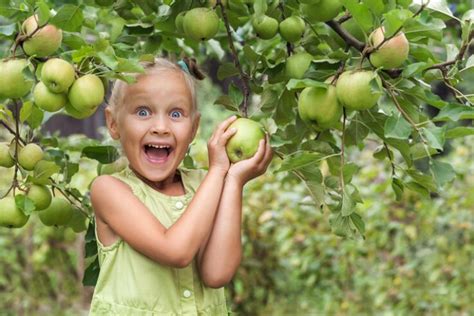 Best Fruit Picking with Kids in San Francisco | 4Kids.com