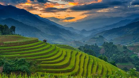 Amazing rice terraces at Mu Cang Chai, Vietnam – Windows Spotlight Images