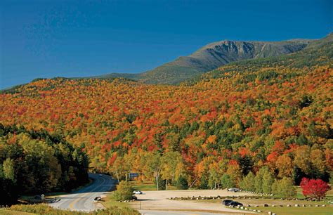 White Mountains Fall Foliage Tracker | Find Peak Colors