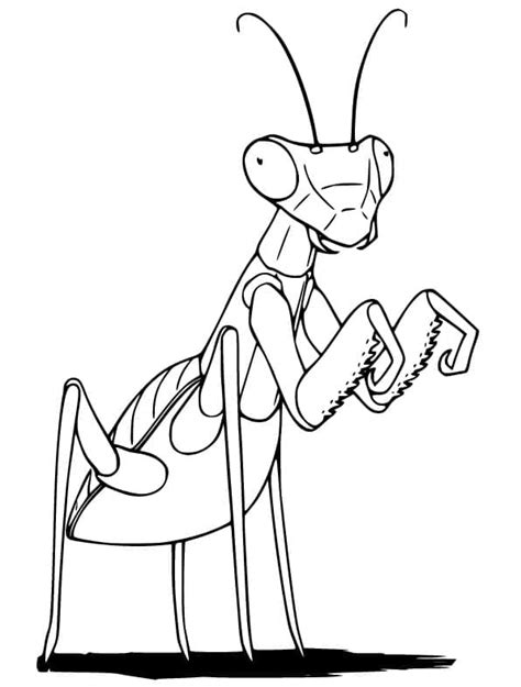 Praying Mantis Coloring Pages - Free Printable Coloring Pages for Kids