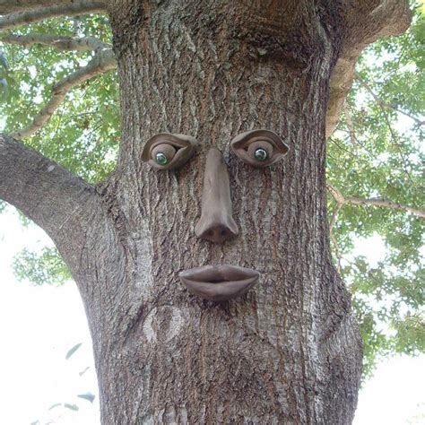 Simon Tree Face | Tree faces, Fairy garden, Garden art