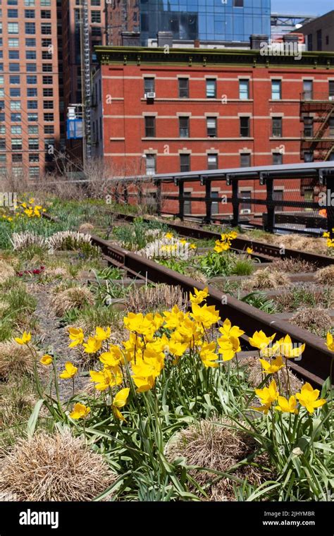 View from the High Line in Manhattan Stock Photo - Alamy