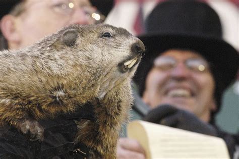 Groundhog Day: The rodent's track record in New Jersey