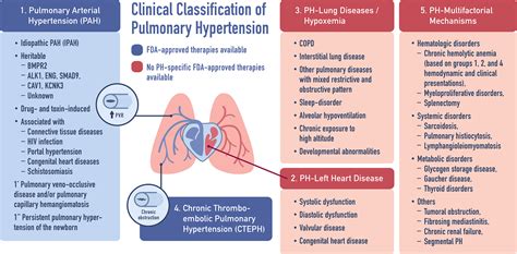 Emerging therapeutics in pulmonary hypertension | American Journal of ...