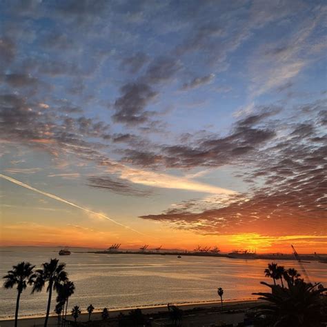 Yesterday's sunset in Long Beach : r/longbeach