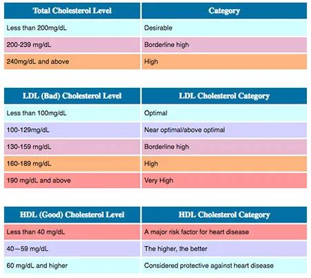 HDL vs. LDL Cholesterol Ratio, Ranges, and Differences in Meaning