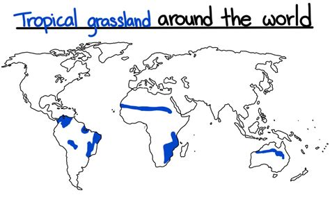 Savanna Biome World Map – Interactive Map