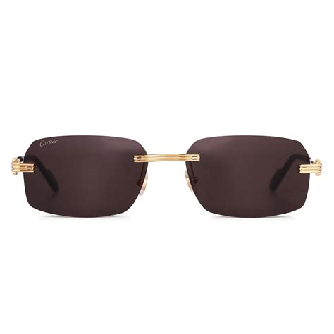 CARTIER Cartier Sunglasses Ct0271s | Cruise Fashion