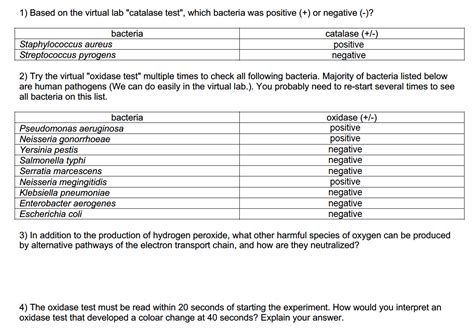 Solved 1) Based on the virtual lab "catalase test", which | Chegg.com